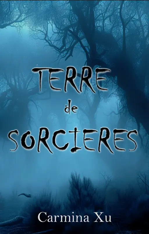 Terre de sorcières