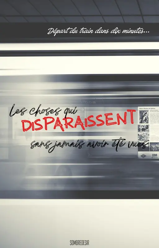 Les choses qui disparaissent sans jamais avoir été vues