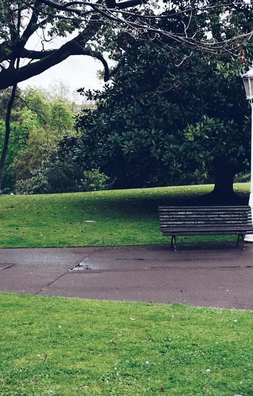 Les "Bancs de la solitude"