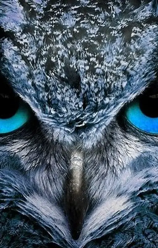 Bleu glacé