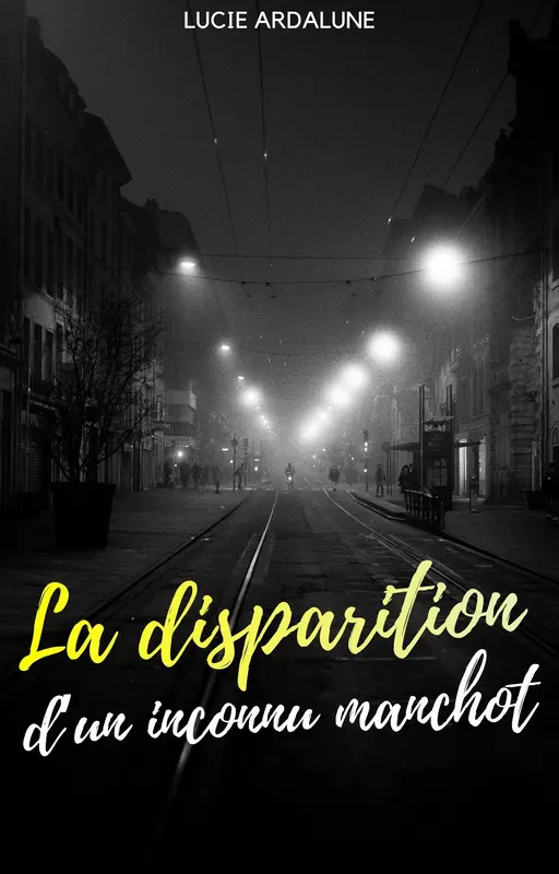 La disparition d'un inconnu manchot