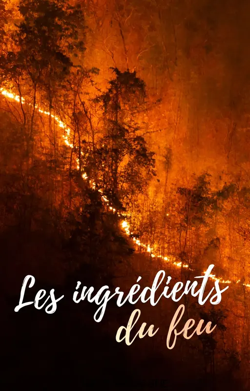 Les ingrédients du feu
