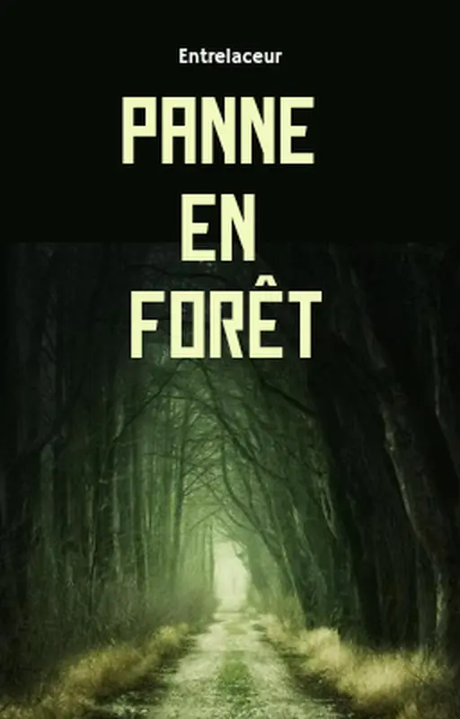 panne en forêt
