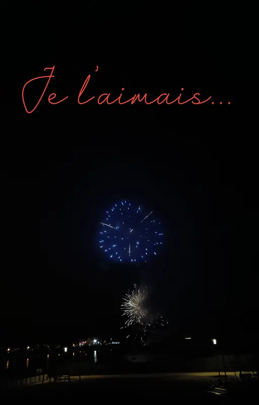 Je l'aimais