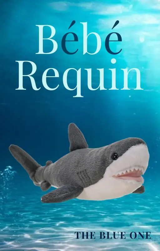 Bébé Requin