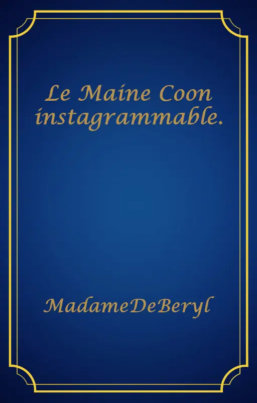 Le Maine Coon instagrammable.