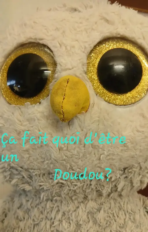Ça fait quoi d'être un doudou ?