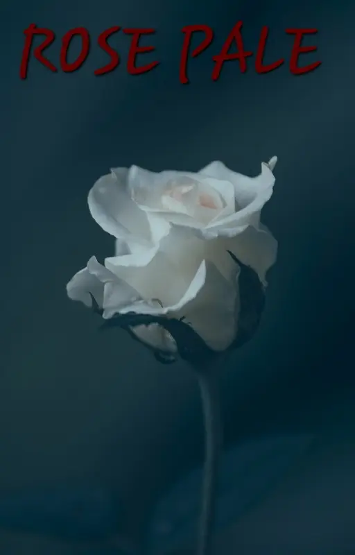Rose pâle