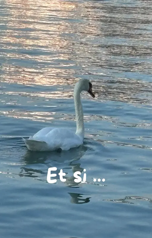 Et si ...