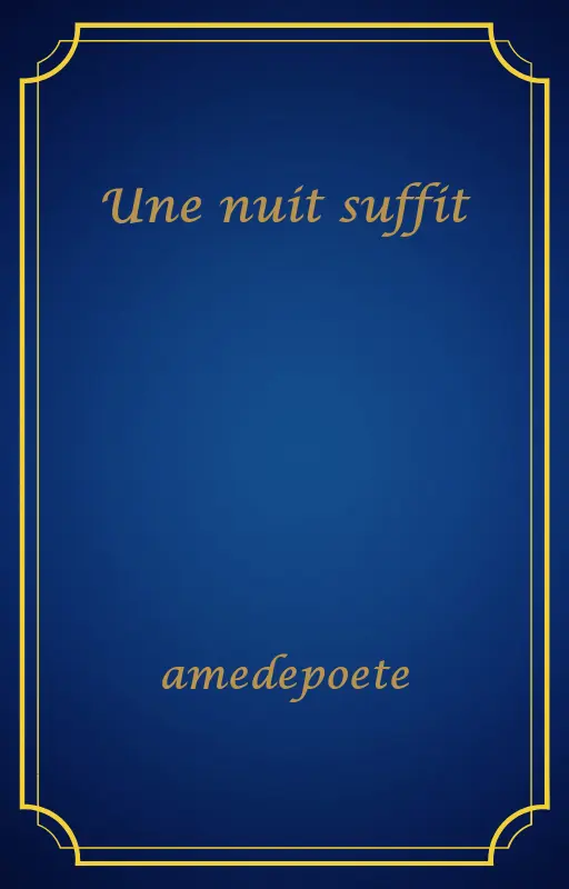 Une nuit suffit