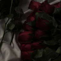 dark_elia