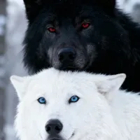 LoveHurt
