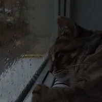 Millie_220