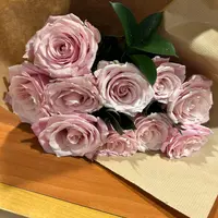 ThePinkLight