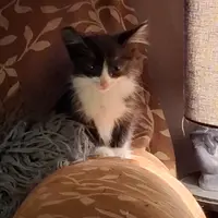 Luna_BZH