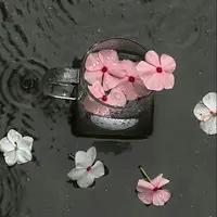 Lilybooks