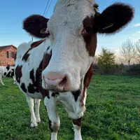 Milou8429