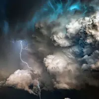 Phoenixdrago