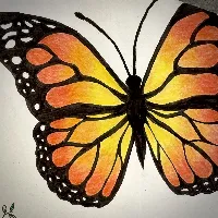Efrelite2355