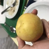 Lalalai
