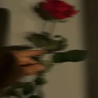 LyLy_