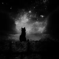 nyx_moon